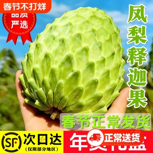 【鲜仑】凤梨释迦果5斤礼盒牛奶番荔枝新鲜水果现摘顺丰整箱包邮