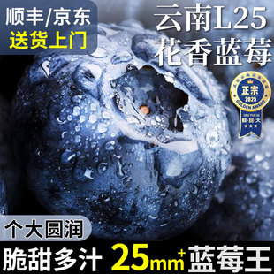 特大果l25蓝莓顺丰京东 云南蓝莓新鲜水果花香蓝莓鲜果现摘当季