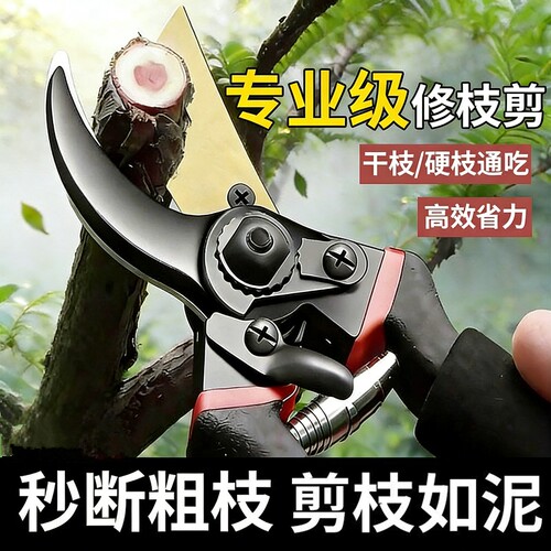 剪树枝剪刀专用花剪园艺园林修枝园丁剪嫁接强力修水果树修剪剪枝