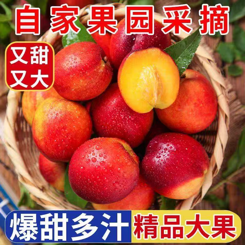 黄心油桃新鲜水果桃子当季整箱包邮孕妇蜜桃时令大桃子现摘脆甜