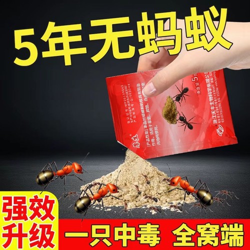 家用室内室外灭窝大小红黄黑蚂蚁