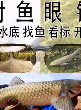 德国钓鱼眼镜偏光镜夜视专业高清看漂变色墨镜男日夜两用开车看鱼