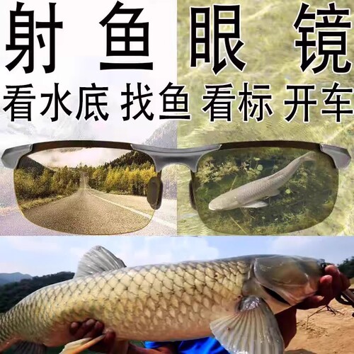 德国钓鱼眼镜偏光镜夜视专业高清看漂变色墨镜男日夜两用开车看鱼