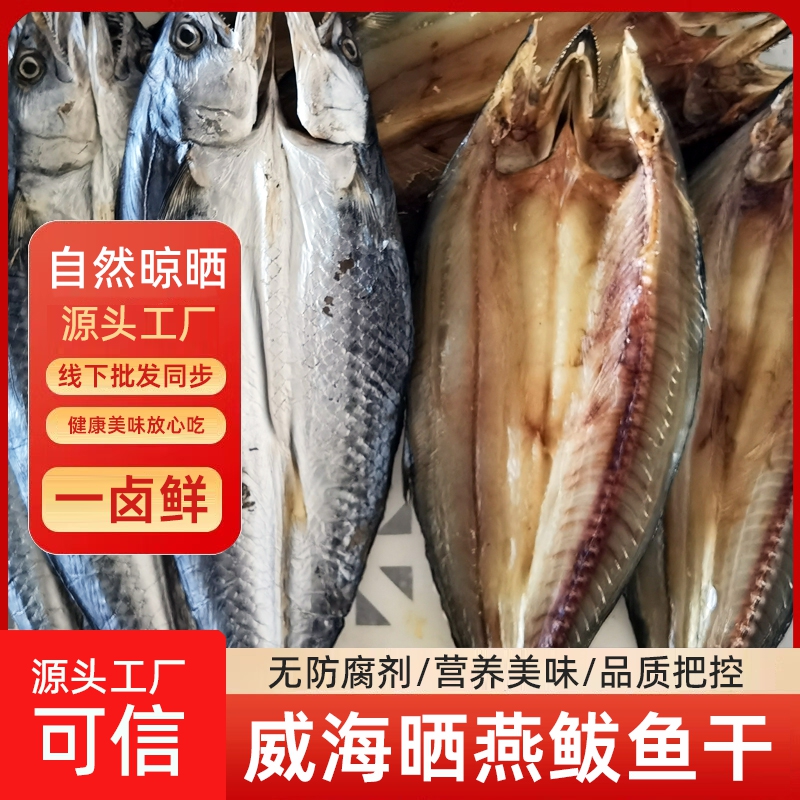 鲅鱼干一卤鲜咸鱼淡干野生燕鲅鱼