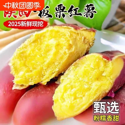 正宗陕西板栗红薯新鲜蜜薯农家自种现挖沙地地瓜蔬菜