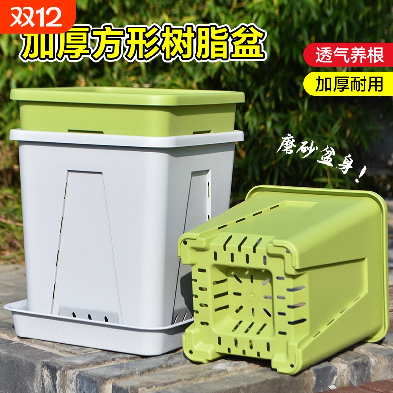 树脂材质透气控根不闷根加厚新料