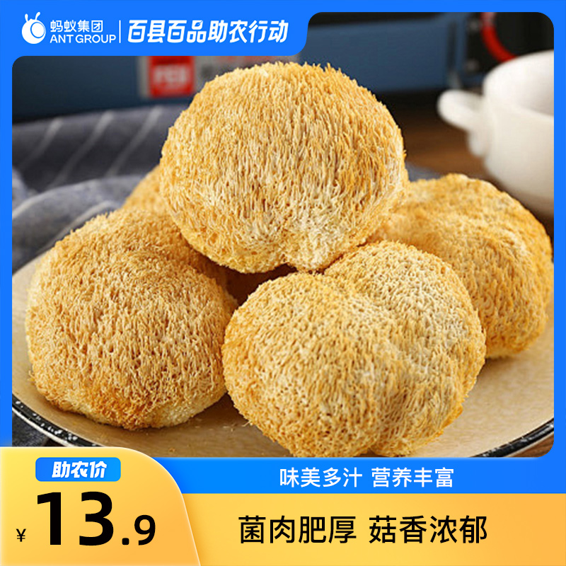 10月百县百品助农贵州织金猴头菇60克/袋