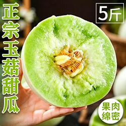 正宗玉菇甜瓜冰激凌口感新鲜水果应季瓜香浓郁蜜瓜小香瓜整箱包邮