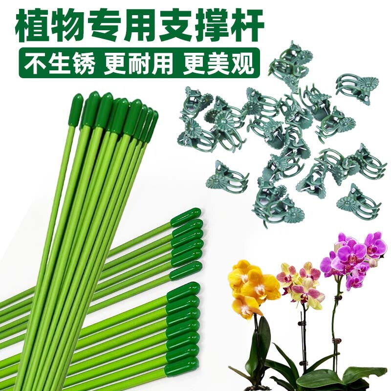 植物固定绿色支撑杆防倒伏图片