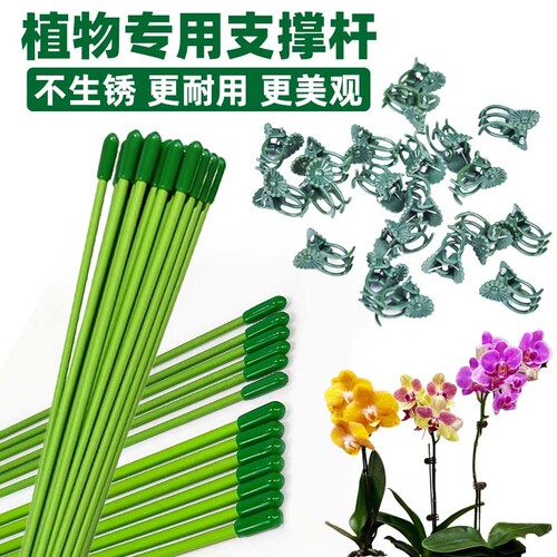 植物固定绿色支撑杆防倒伏