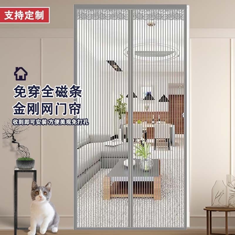 夏季防蚊纱门金刚纱磁吸对开