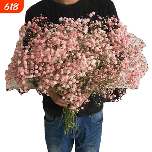 满天星勿忘我干花花束家居摆设客厅装饰摆件永生花鲜花情人节大束
