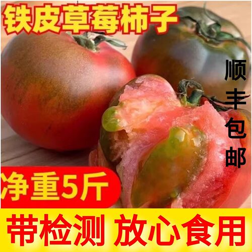 顺丰包邮正宗铁皮草莓柿子新鲜当季西红柿生吃水果东北番茄酸甜口
