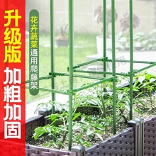 连接杆卡扣爬藤杆卡扣包塑钢管黄瓜架葡萄架阳台支撑庭院园艺花园