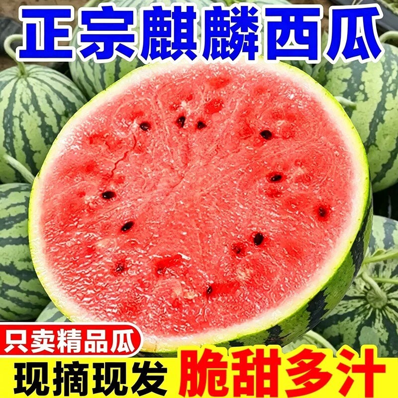 正宗冰糖麒麟西瓜当季水果新鲜水果美都麒麟瓜现摘批发价无籽有籽