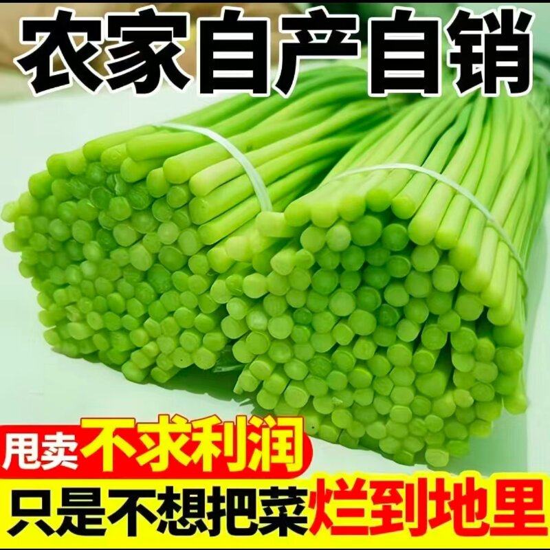 新鲜净菜蒜薹掐头去尾要求高慎拍