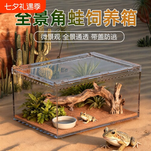 爬宠饲养缸透气透明乌龟寄居蟹爬宠箱客厅生态造景带盖角蛙庭院