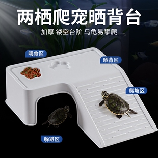 乌龟缸晒台创意爬台造景遮蔽屋晒背台爬坡家用循环生态缸装饰爬台