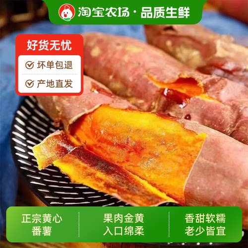 新鲜蜜薯9斤板栗红薯沙地糖心地瓜农家自种番薯现挖黄心香薯山芋