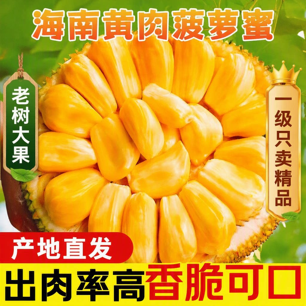 正宗海南菠萝蜜一整个新鲜水果包邮当季三亚干苞黄肉波罗密整箱
