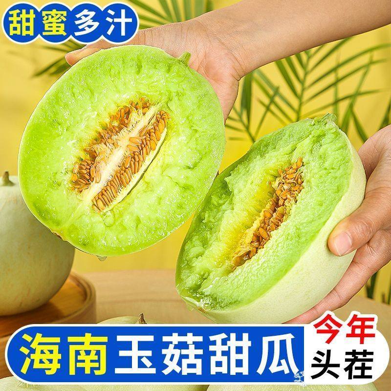 正宗海南玉菇甜瓜蜜瓜软糯香甜冰淇淋瓜新鲜水果当季孕妇可食包邮,水产肉类/新鲜蔬果/熟食,甜瓜,淘宝优惠券,粉丝福利购,淘宝优惠卷