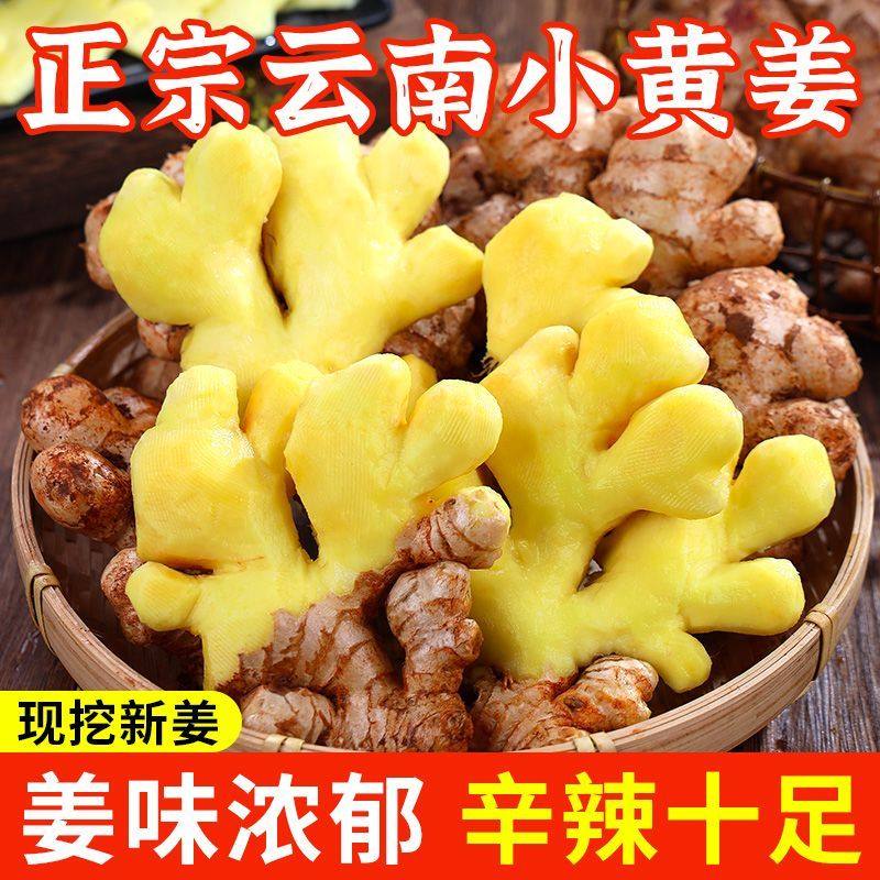 云南小黄姜正宗云南小黄姜特级生姜老姜辛辣食用小黄姜整姜