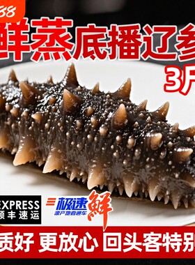 参意盎然大连大连即食海参高营养