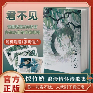 【飞机盒发货】 君不见  惊竹娇著 “你一句春不晚，我就到了真江南”作者S部青春诗集 长短句 少年意气与浪漫情怀现当代文学书籍