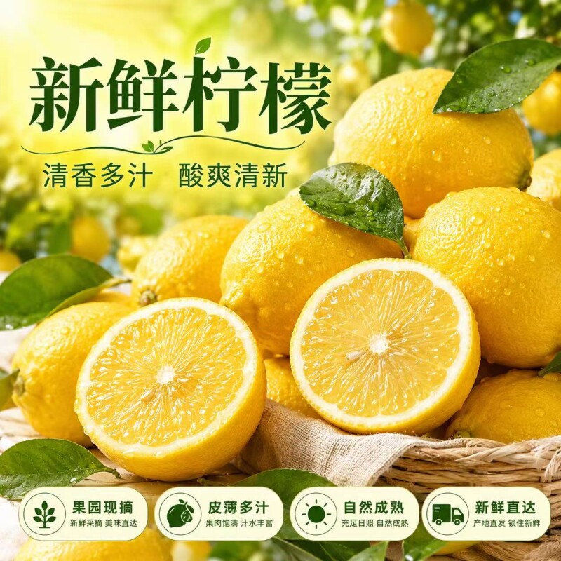 安岳黄柠檬当季新果整箱批发薄皮柠檬果子泡水新鲜水果奶茶店专用