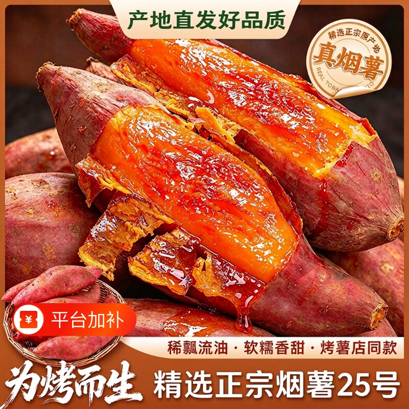 正宗现挖糖心烟薯25号蜜薯红薯新鲜番薯沙地烤地瓜农科院山芋包邮
