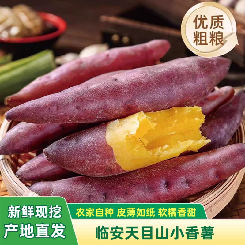 临安天目山小香薯新鲜现挖软糯