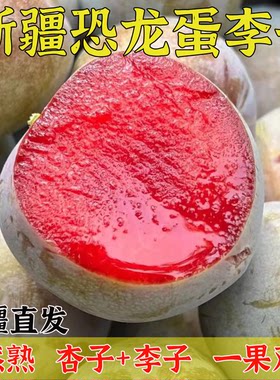 新疆恐龙蛋红心杏李脆甜空运