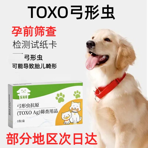 病毒检测试纸弓形虫/狂犬/犬瘟/细小/猫/猫瘟抗原试纸冠状外用