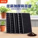 育苗穴盘种植神器套装 营养钵蔬菜多肉扦插盒托盘发芽苗播种玉米