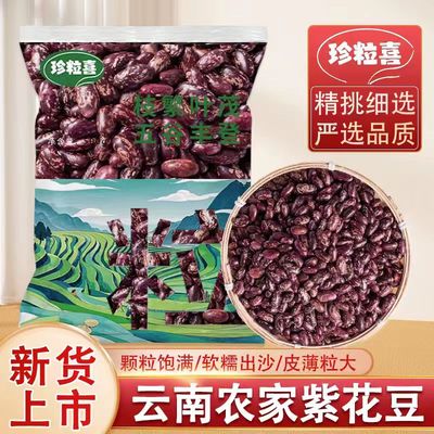 云南紫花芸豆角今年新豆煮粥软糯花豆四季豆新鲜绿色营养健康食品
