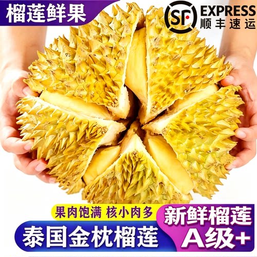 正宗泰国金枕榴莲应季新鲜水果