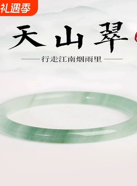 天山翠手镯手链精致女款细条玉镯仿冰透飘花款小众镯子半山细圆条