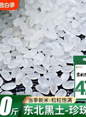 铁力大米北纬47°东北珍珠米50斤圆粒东北大米黑龙江黑土种植新米