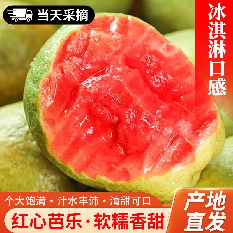 5斤广西红心芭乐奶油软糯番石榴新鲜水果软心胭脂红当季孕妇水果