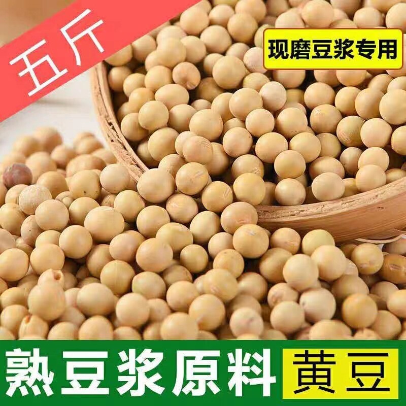 熟黄豆打豆浆燕麦米五谷杂粮磨粉原料批发低温烘焙小包装烘焙豆图片