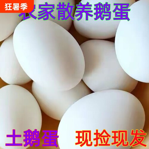 农家散养土鹅蛋新鲜生态鹅蛋现捡现发孕妇宝宝大鹅蛋营养健康
