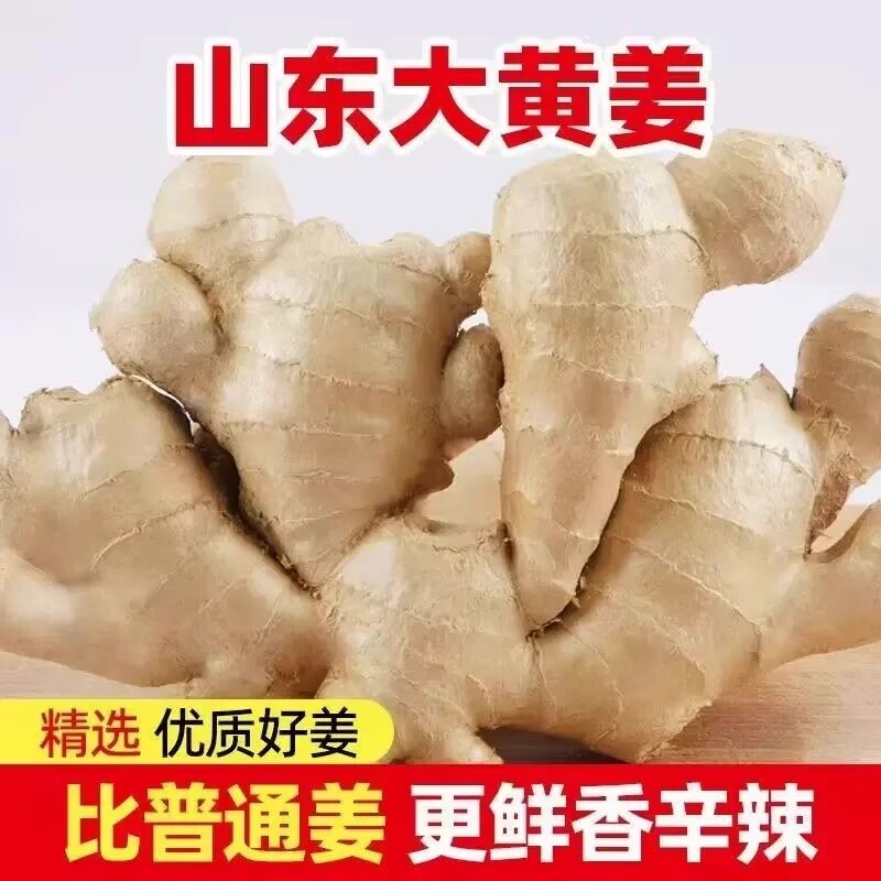 山东老姜生姜新鲜大姜健康生姜水洗无泥风干纯正黄姜母大姜原生态图片