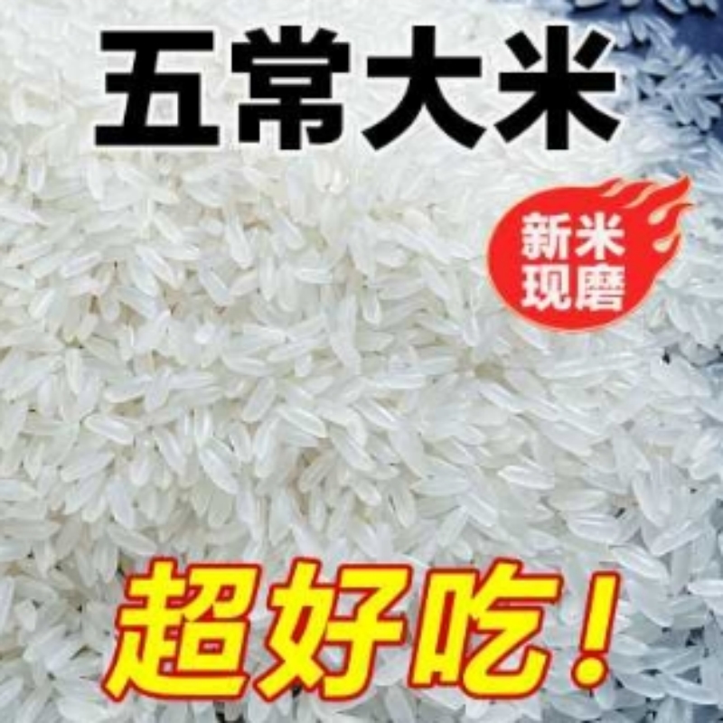 【产地源头发货】五常大米2024年新米稻花真香优质大米黑龙江10