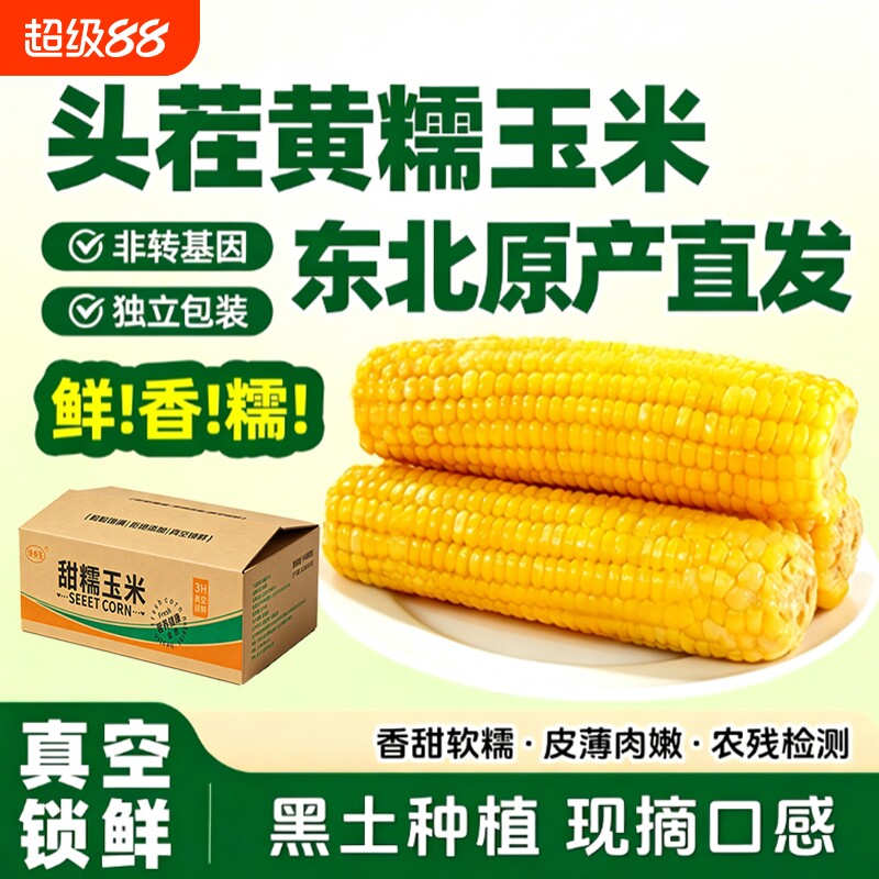 新鲜东北黄糯玉米软糯香甜黑龙江玉米非转基因粗粮代餐10根装好吃