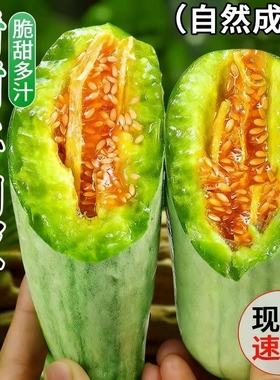 山东羊角蜜甜瓜新鲜水果10斤当季脆甜蜜瓜香瓜时令羊角脆整箱包邮