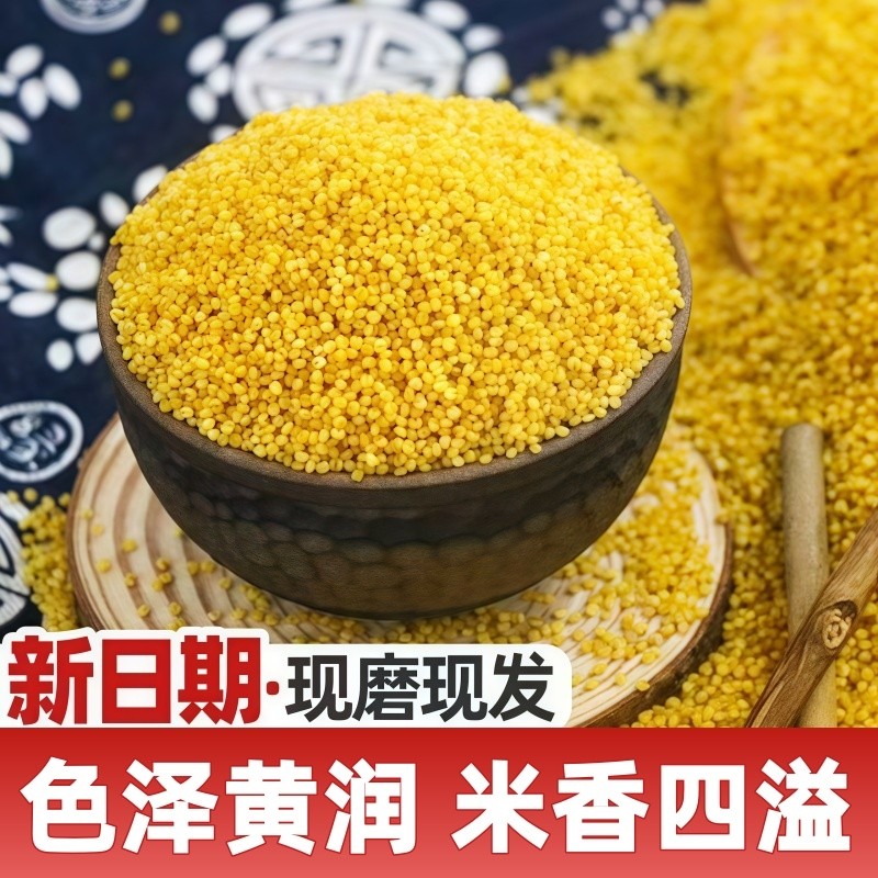 新鲜黄小米当季粗粮五谷杂粮粟米油脂软糯粗粮煲粥小米粥农家新米