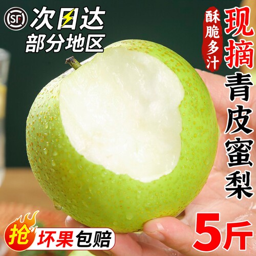 顺丰包邮正宗青皮蜜梨当季现摘青皮梨子新鲜水果皇翠雪冠梨脆梨甜