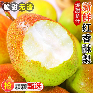 正宗红香酥梨香梨新鲜梨子特级水果脆甜皮新疆香梨多汁红香酥梨