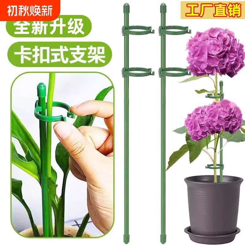 龟背竹护叶架固定器花架花支撑