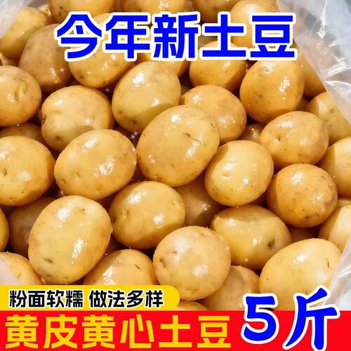 恩施小土豆农家正宗新鲜